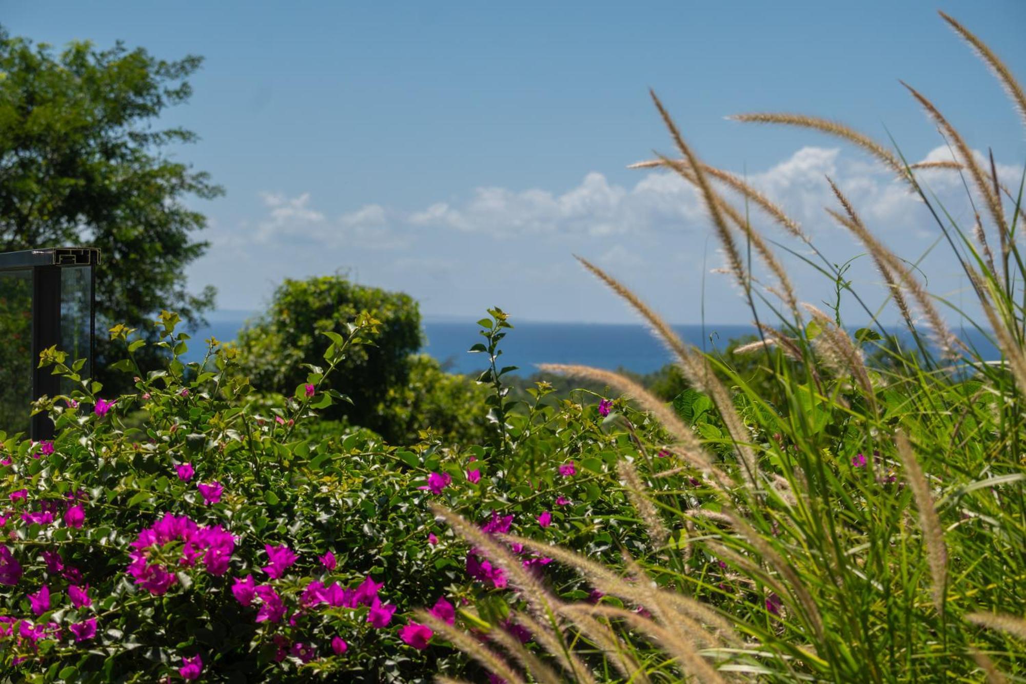 Tropic & Chic Villa Sainte-Anne  Eksteriør bilde